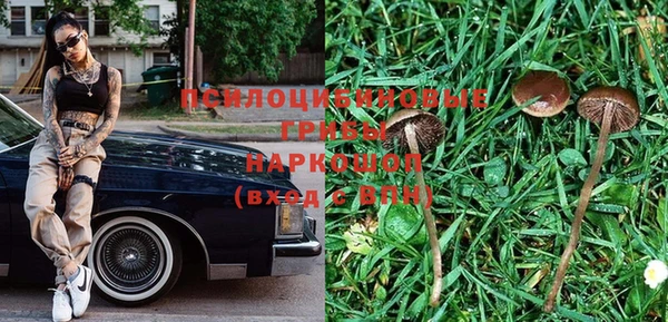 стаф Пролетарск