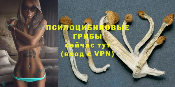 спайс Протвино