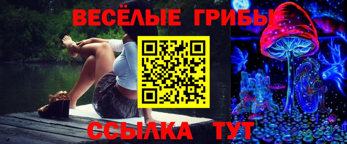 Зеленогорск  Псилоцибиновые грибы прущие грибы  закладка  Вход с VPN 